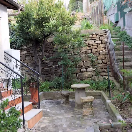 Gli Ulivi