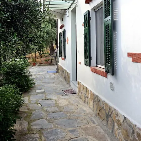Gli Ulivi *